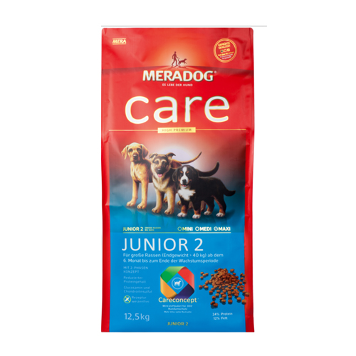 junior 2
